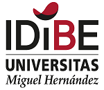 IDiBE logo