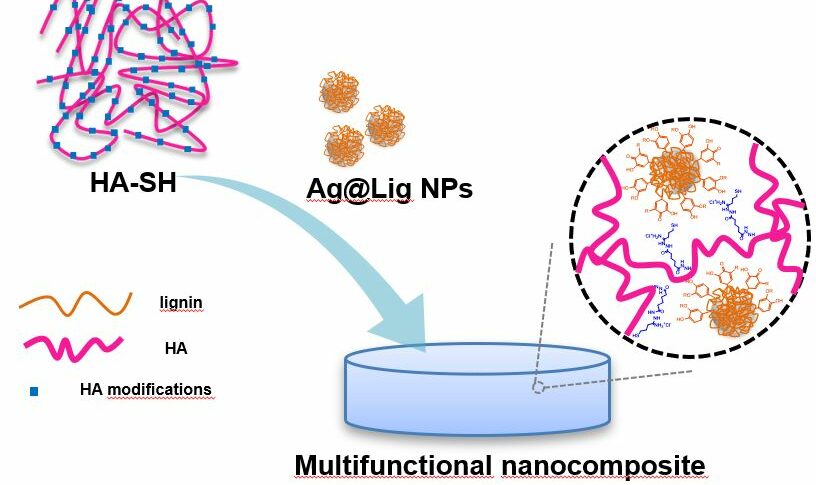 Nanoenabled Hydrogels For Advanced Skin Care