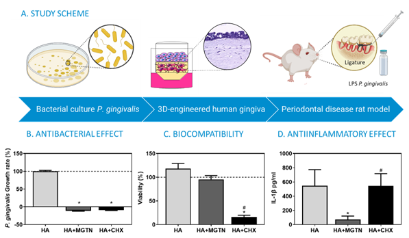 Study of proposed gels in in vitro models and in an in vivo rat model of periodontitis by Viromii