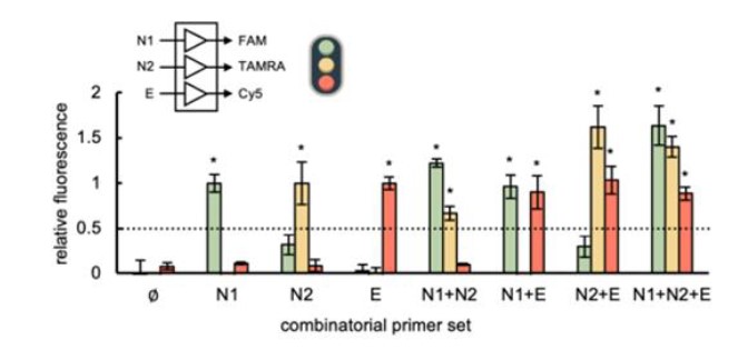 Fluorescence-based characterization of the detection of three different DNA products from SARS-CoV-2