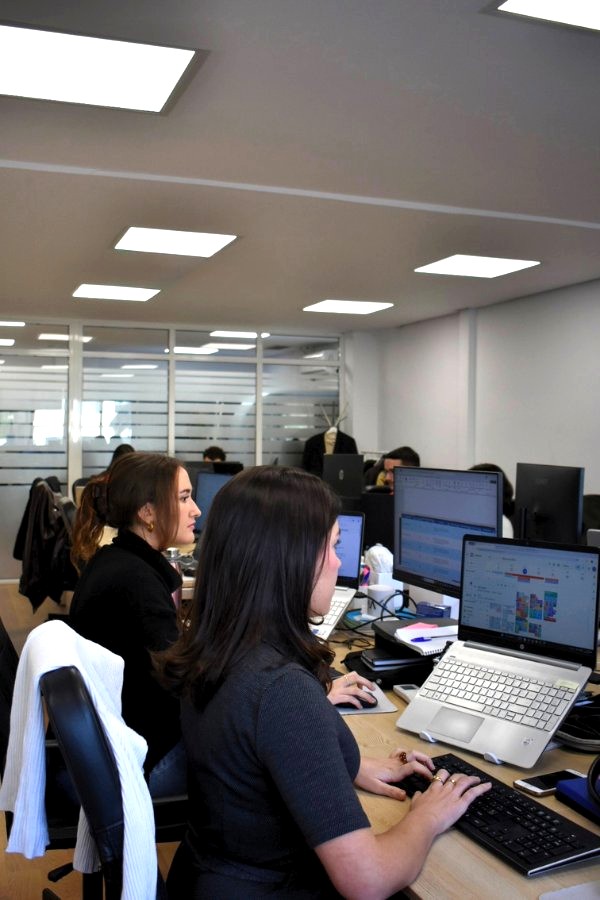 Equipo de Viromii trabajando en la oficina