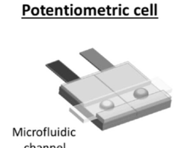 Potentiometric sensor for glucose monitoring