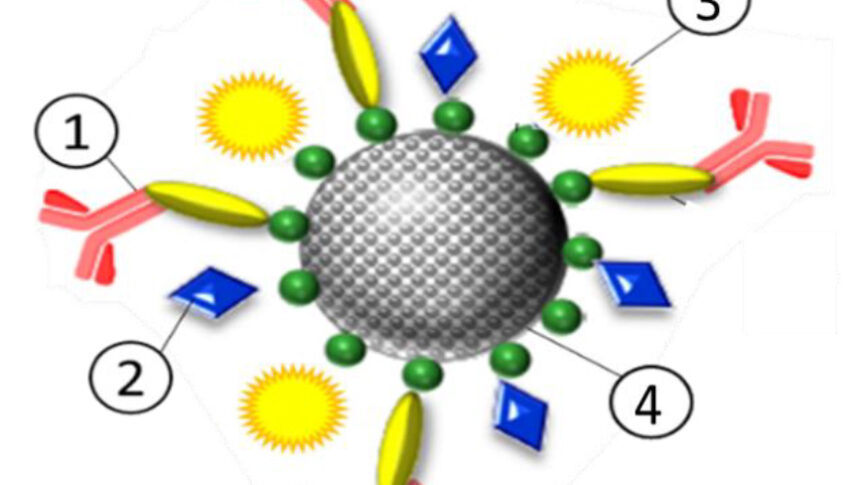 Theranostic nanoparticle for oncology