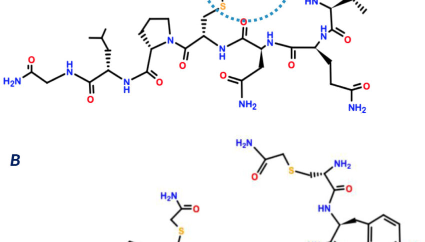 Method for detecting oxytocin in saliva samples and oxytocin-specific antibodies