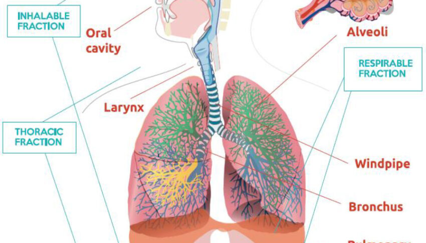 Dry method to obtain coated crystalline silica with reduced toxicity