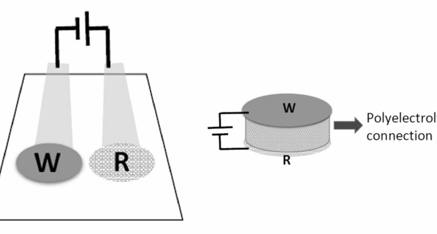 New Potentiometric Biosensor