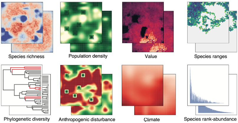 Example of input data used in conservation prioritization tests