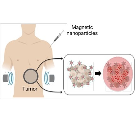 Hyperthermia cancer tratment using BMNPs