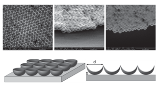 Scanning Electron Microscopy (SEM) images of the material and schematic of the target material by Viromii