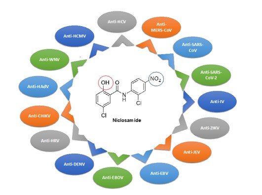 Niclosamide structure and its great potential in being repurposed to treat a variety of viral infections