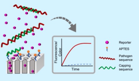 Schematic of pathogen DNA detection system for tech transfer