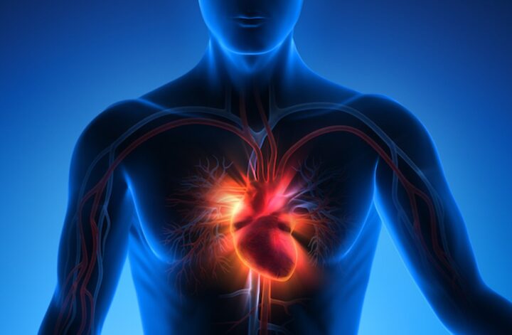 Melatonin treatment to reduce infarct size in patients with myocardial infarction for techtransfer