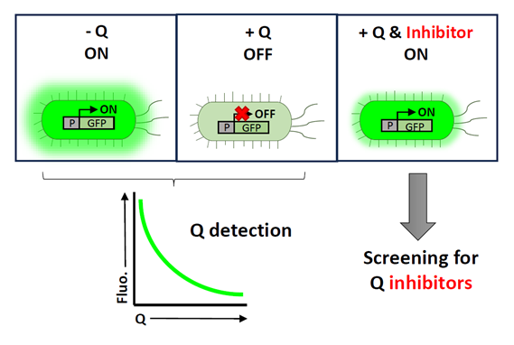 Figure. Schematic diagram of the technology operation.