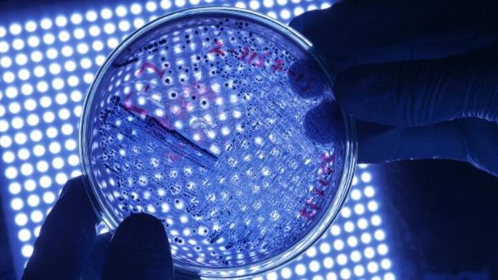 Method for detecting queuosine, a new target for preventing bacterial infections and biofilms for techtransfer