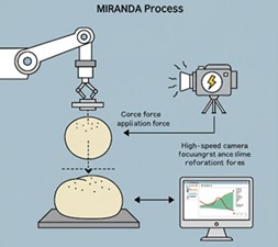 Figure 1. Overview of the MIRANDA system 