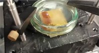 Nanoparticle synthesis process and carbon quantum dots produced at a lab scale